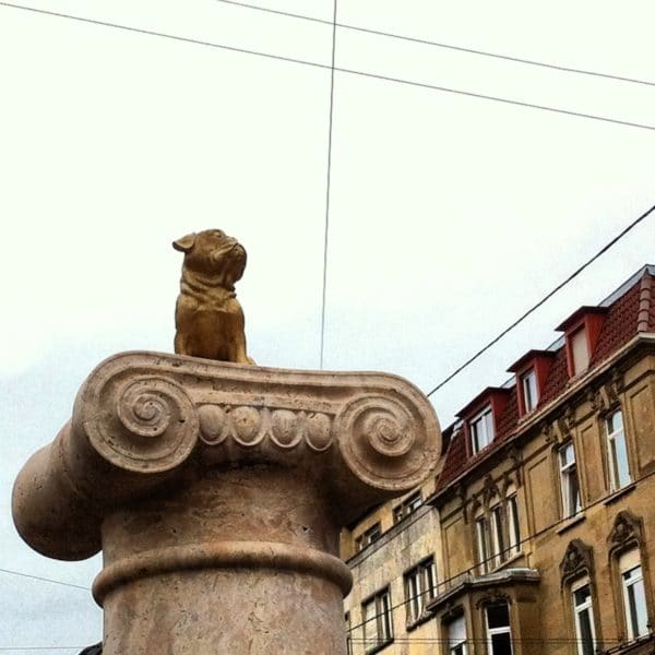 Stuttgart: Ein Leben ohne MOPS ist sinnlos. Dezember 2013 Foto © Welz