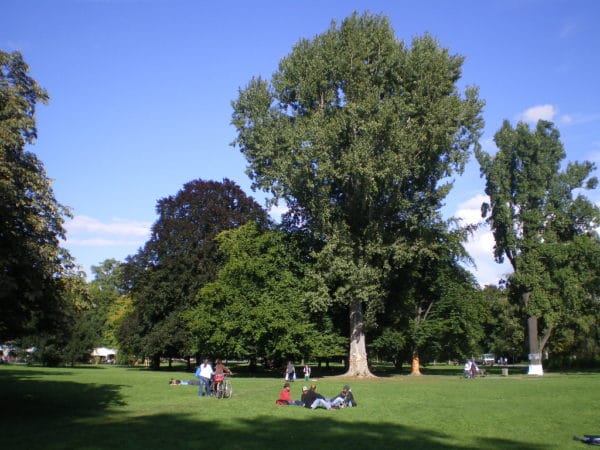 Mittlerer Schlossgarten Stuttgart am 17.09.2010 - Foto © Welz 
