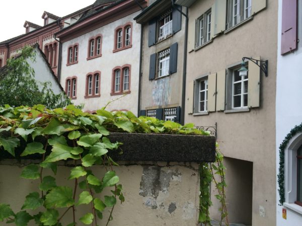 Mein Spaziergang führt mich zurück nach Großbasel. Auch hier gibt es Staffeln wie in Stuttgart. Wurde hier ein Harry Gelb schon entfernt? Foto © Welz