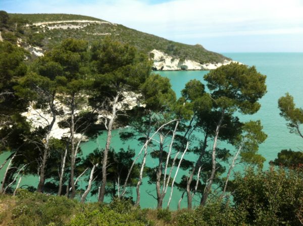 Traumhaft schön! Gargano-Rundfahrt im April 2014 - Foto © Welz 