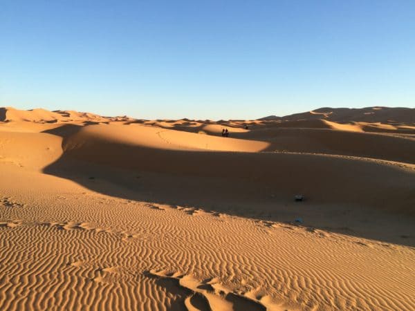 Erg Chebbi: Dünenlandschaft mit 2 Kamelen, ein Suchbild. Foto © Welz