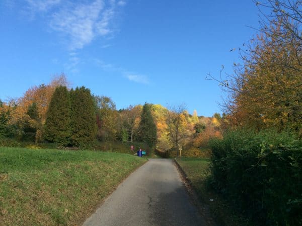 Rehbergerweg 20: der Mülleimer. Foto © Welz 
