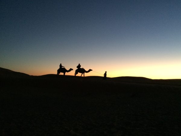 Marokko: Erg Chebbi. Die Kamele kommen zurück. Foto © Welz
