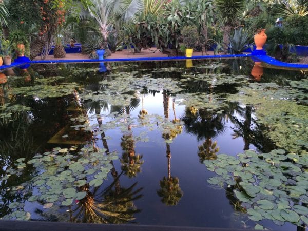 Der Seerosenteich im Jardin Majorelle Marrakech - Foto © Welz