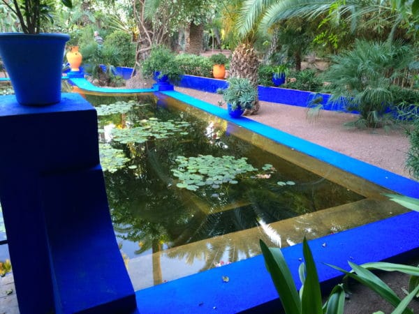 Ein Feuerwerk der Farben: Jardin Majorelle in Marrakech - Foto © Welz