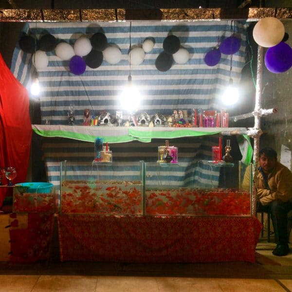 IRAN: Goldfischverkauf für das Neujahrsfest NOURUZ in Shiraz - Foto © Welz 2016