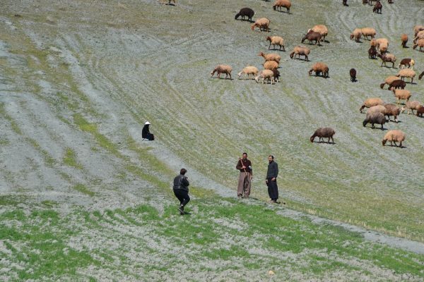 Fotostop: Schafhirten auf dem Weg nach Kermanshah. Foto © Koehne